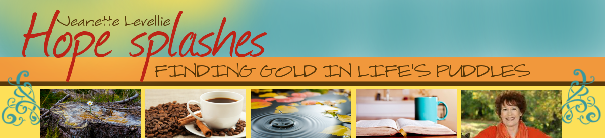 Jeanette Levellie: Hope Splashes 
