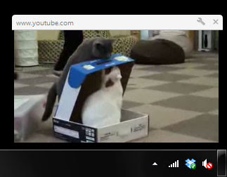 Picture-In-Picture For YouTube