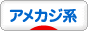 にほんブログ村 ファッションブログ アメカジ系へ