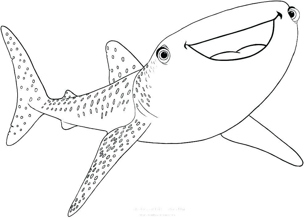 Hammerhead Shark Coloring Page at GetColorings.com | Free printable