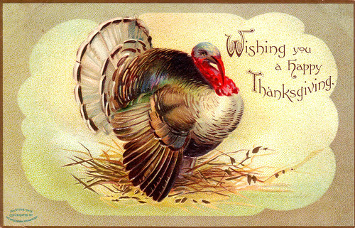 turkey17