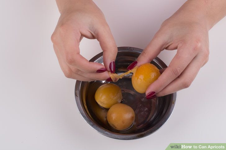 Can Apricots Step 2.jpg