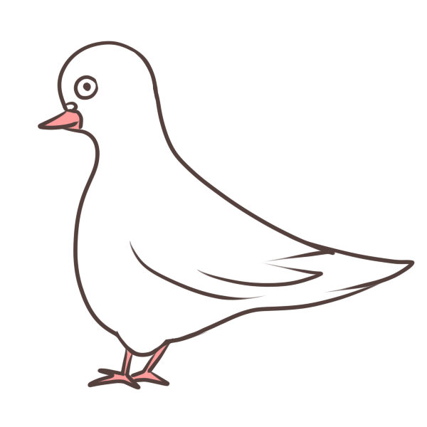 白い鳩のイラスト かわいいフリー素材が無料のイラストレイン