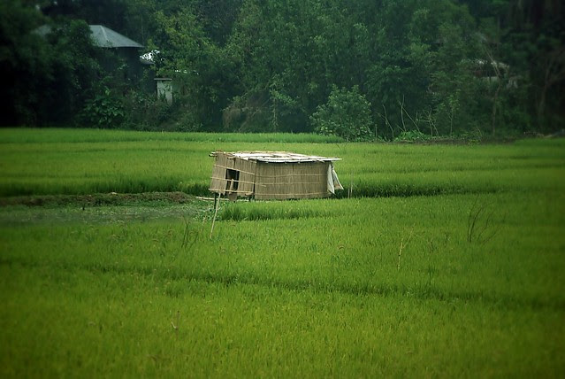 Isolation