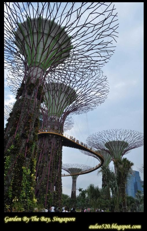Garden By the Bay, Singapore