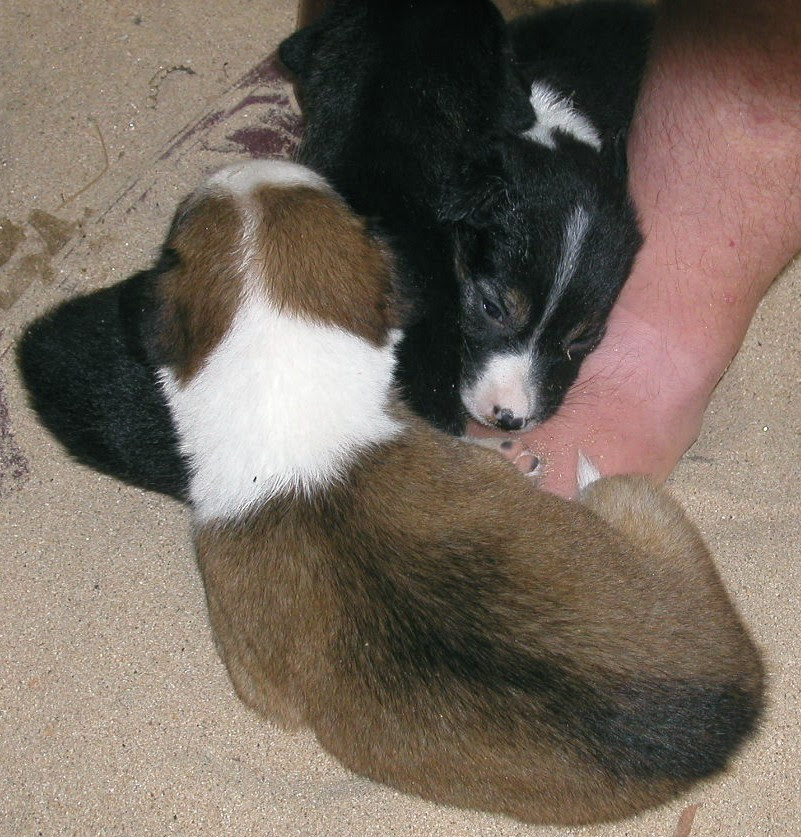 Trincomalee Beach,  Sri Lanka 14/15