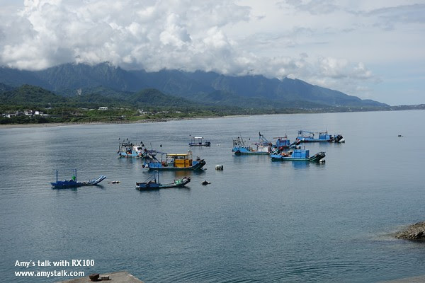 DSC08005