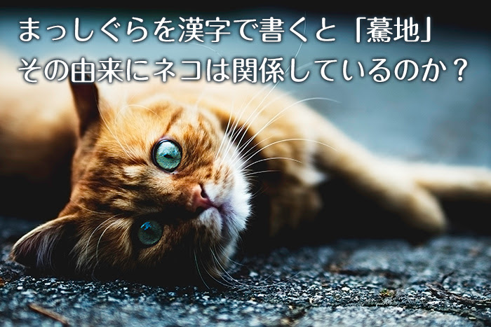 まっしぐらを漢字で書くと 驀地 その由来にネコは関係しているのか 読まぬは一生の恥