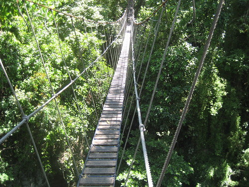 Canopy Walk