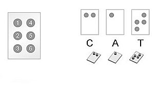 esquema de braile