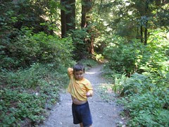 Leelo on the Trail