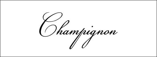 Champignon Calligraphy Font