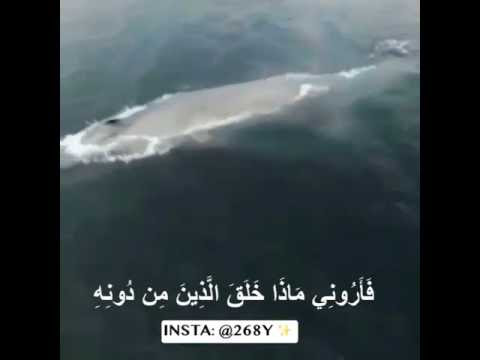 هذا خلق الله 