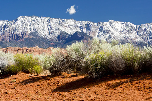 Washington (Utah) Morning '11