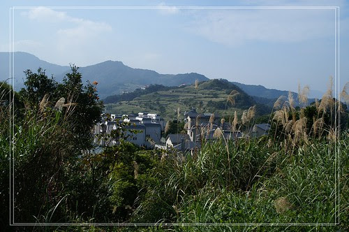 PICT6833