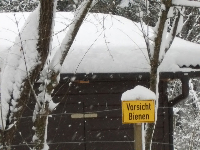 Bienen2011