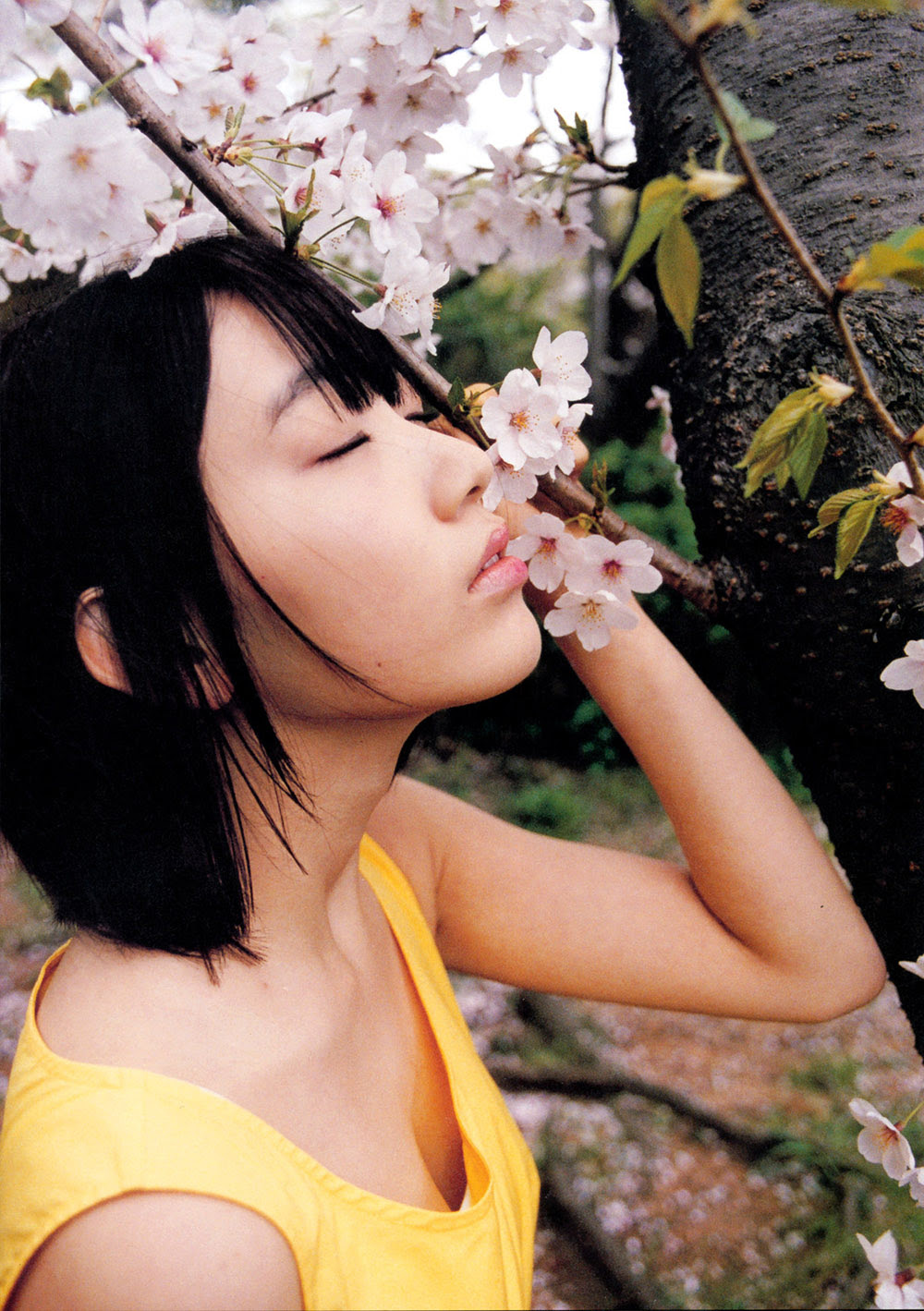 宮脇咲良 ファースト写真集 さくら Miyawaki Sakura Photo Fanpop