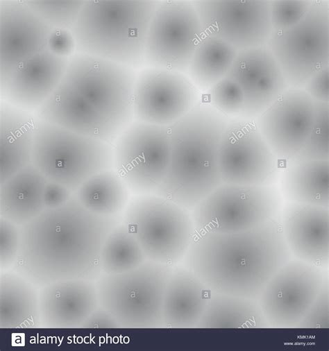 unicellular organisms stock  unicellular organisms