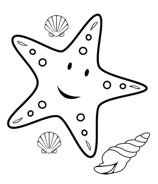 picture Star Fish Drawing For Kids Easy clipart library
