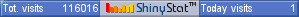 Website counter