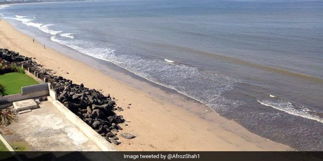 Ganesh Chaturthi 2017: Afroz Shah And 200 Volunteers Gear Up To Keep Versova Beach Swachh During Ganpati Festival