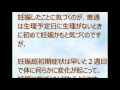 コンプリート！ 妊娠5週 症状 257650-妊娠5週 症状
