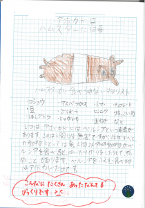 ５年生の自学ノート 鹿嶋市立豊津小学校
