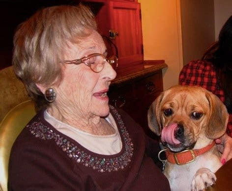 Get the best deals on swarovski black swan necklace and save up to 70% off at poshmark now! 