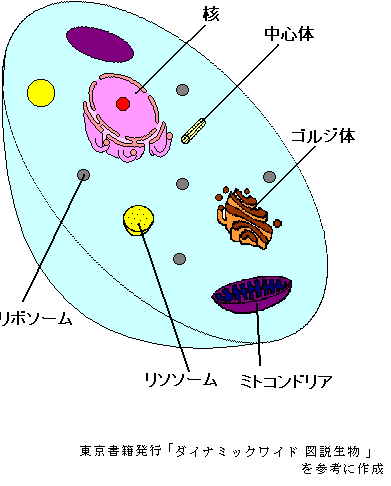 細胞
