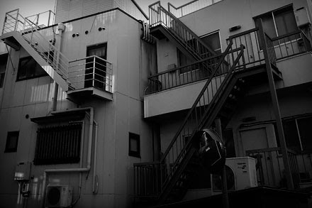 steps.jpg