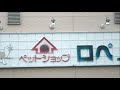 [無料ダウンロード！ √] 寒川 ペット ショップ 265452-寒川ペットショップロペ