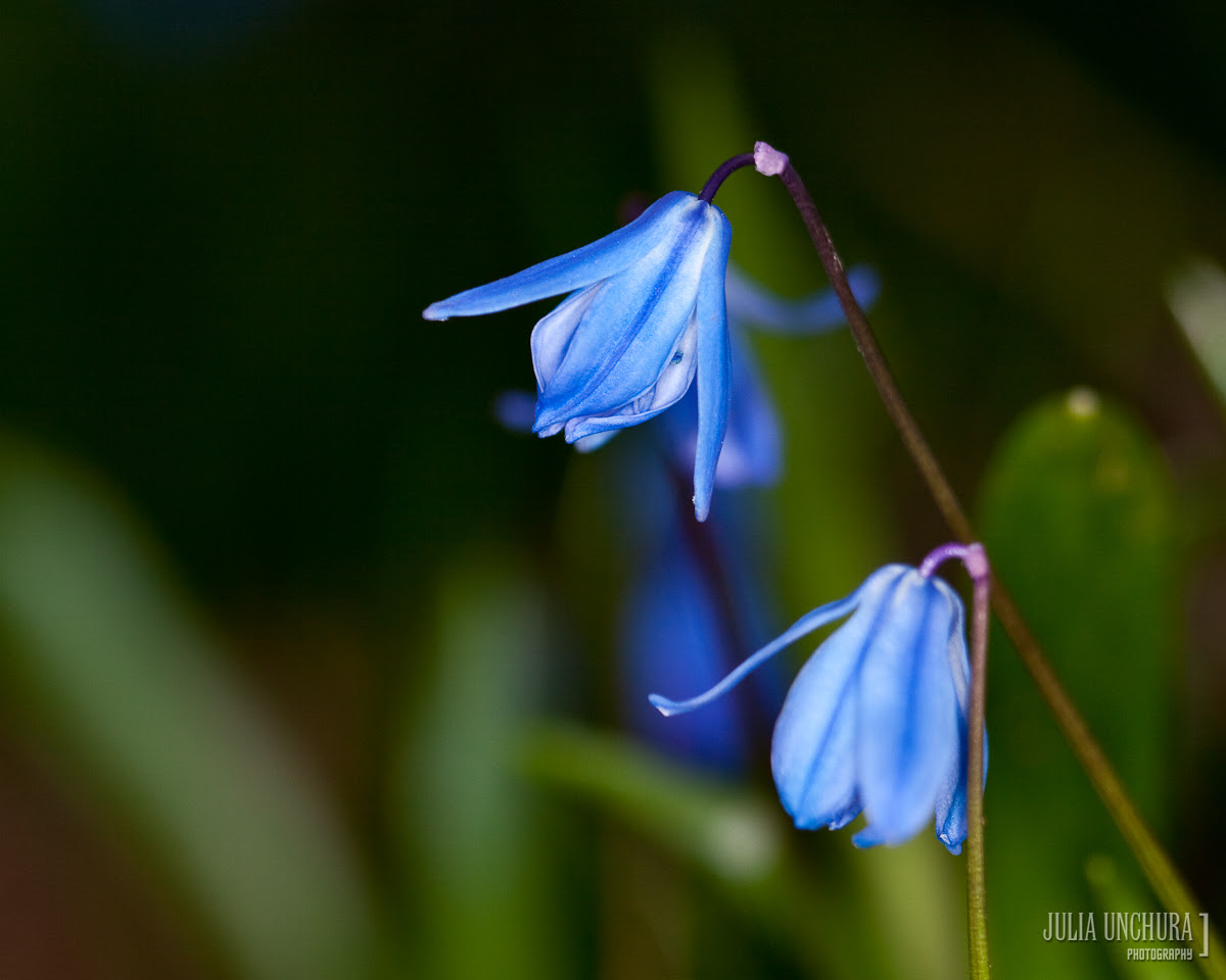 20100406-IMG_9895