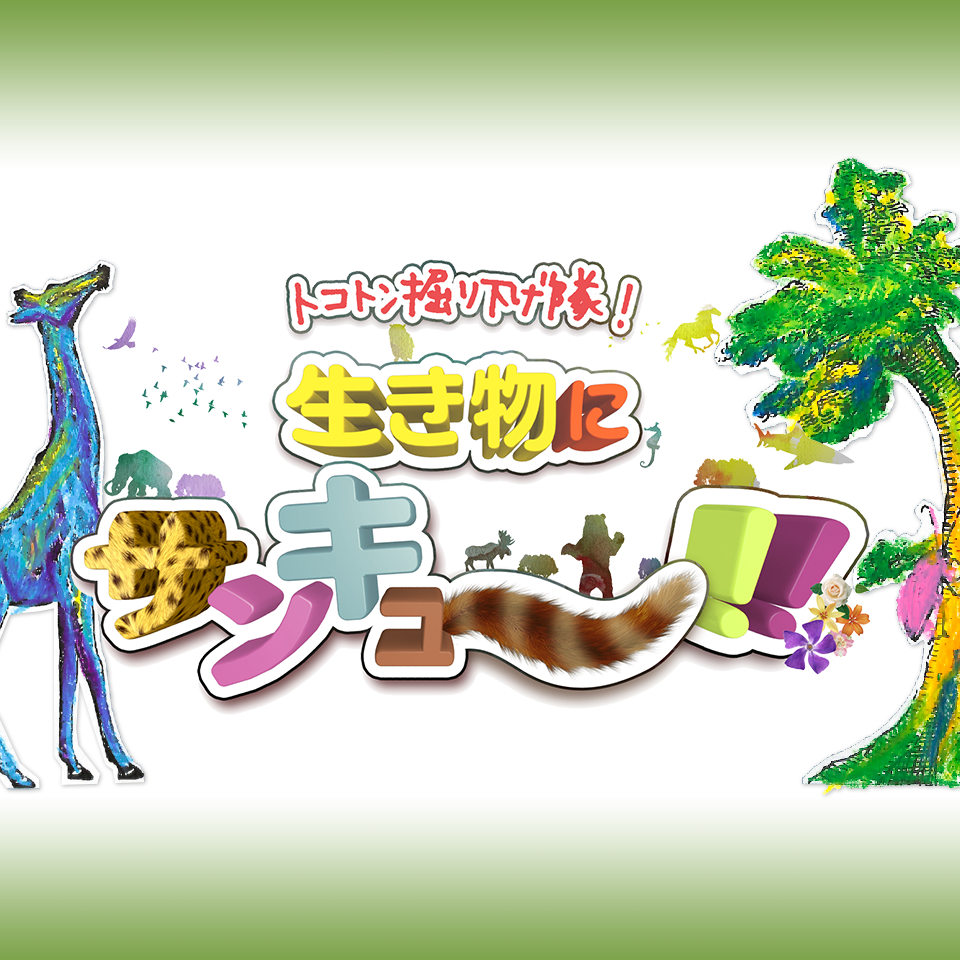 トコトン掘り下げ隊 生き物にサンキュー Tbsテレビ