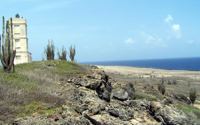 100401666.jpg