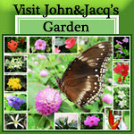 John&Jacq's Garden