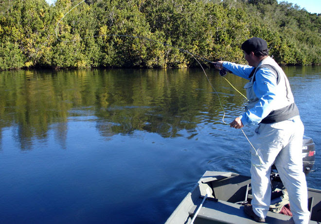 Pescando en Los Everglades del río Maullín
