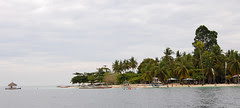 D2-pandan island