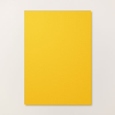 Card Stock A4 Crushed Curry