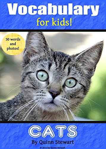 Vocabulary for Kids!: Cats, by Quinn Stewart