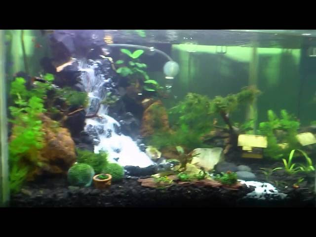  Cara  Membuat  Air Terjun Untuk Aquarium  Aquascape 