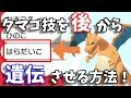 √70以上 ポケモン タマゴ グループ 639574-ポケモン サンムーン タマゴ グループ