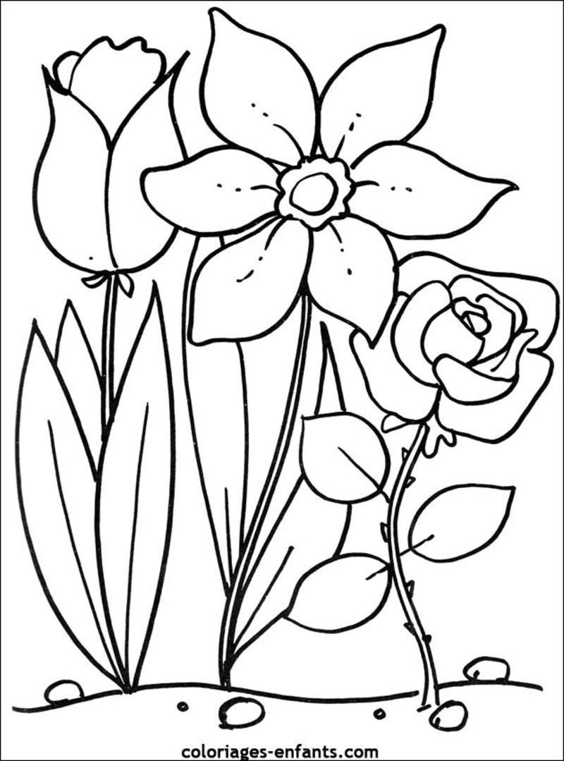 Scenery & Spring Pictures Fleurs De Printemps Coloriage