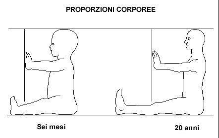 Peso corporeo in base all altezza
