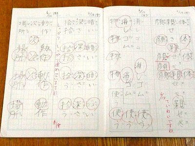 小３娘の最近の家庭学習ノート ちびむすブログ