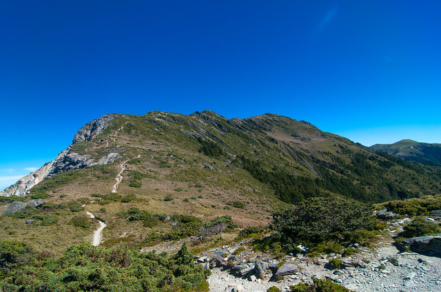 DSC_5785