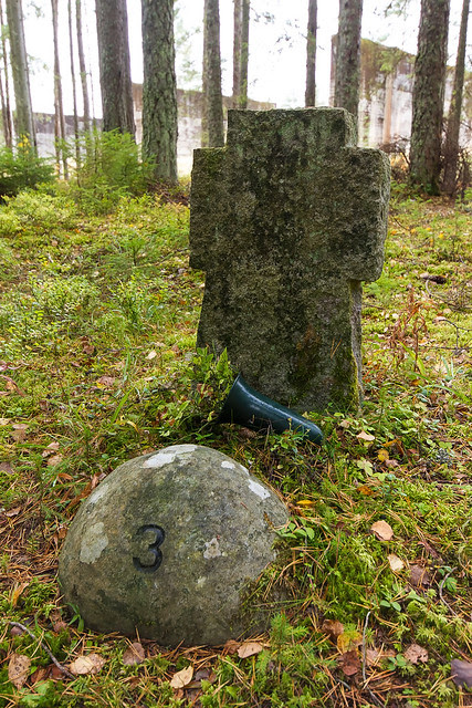 Trandumskogen-3591