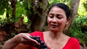 survival time small cell carcinoma bladder Survival skills: Find food in wild & meet nature grapes for eat - Nature grapes eating delicious #58