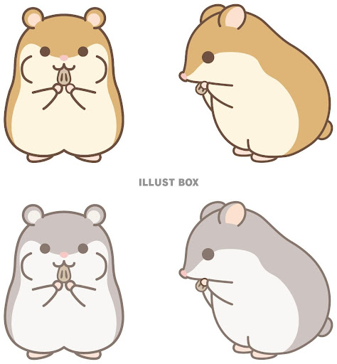 イメージ