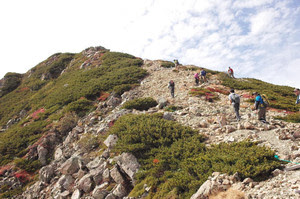 Photo_2