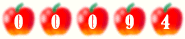 web counter code